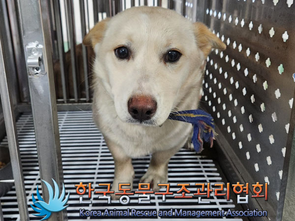 한국동물구조관리협회_441414202300972